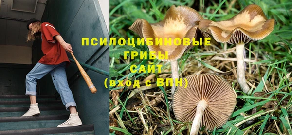 бошки Балахна