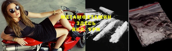 индика Богородск