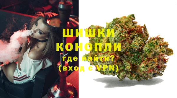 бошки Балахна