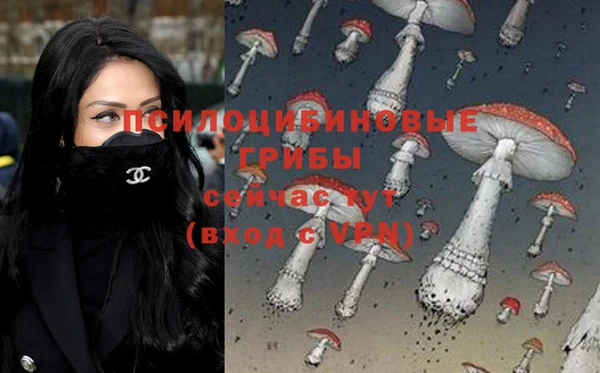 бошки Балахна