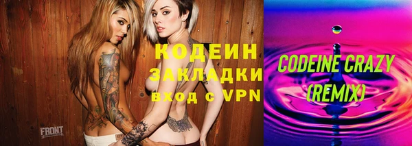 индика Богородск