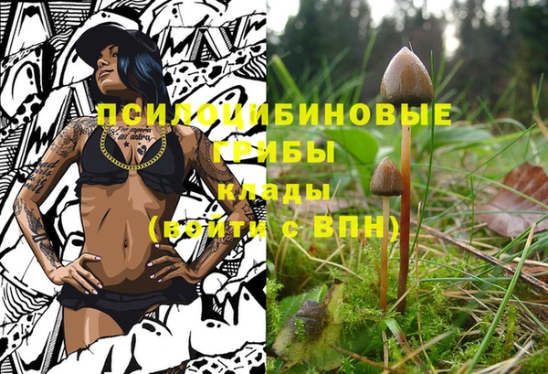 бошки Балахна