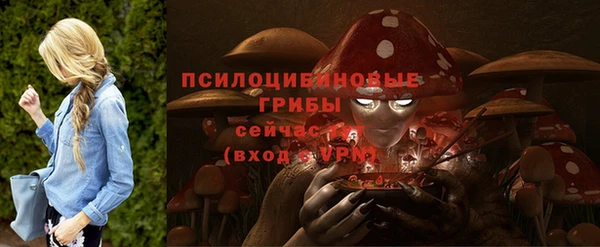 бошки Балахна
