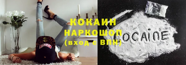 индика Богородск